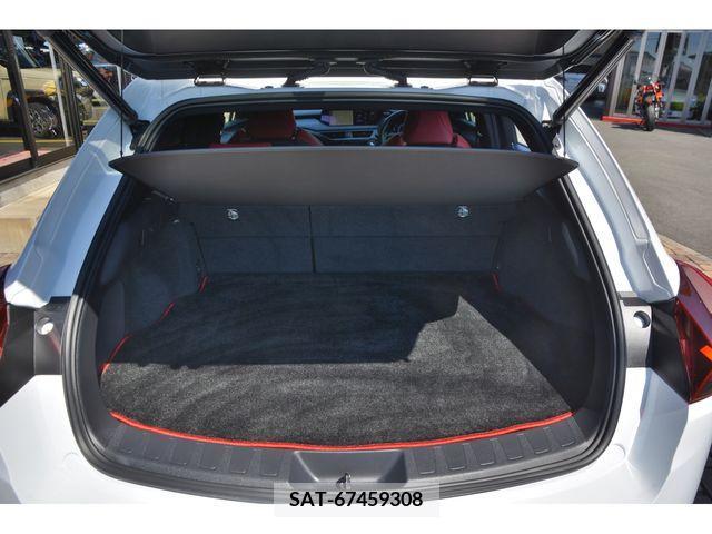 Lexus UX 2019-05 313557-19