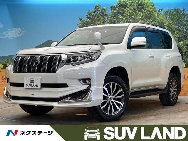 Toyota PRADO 2020-11 20897-0