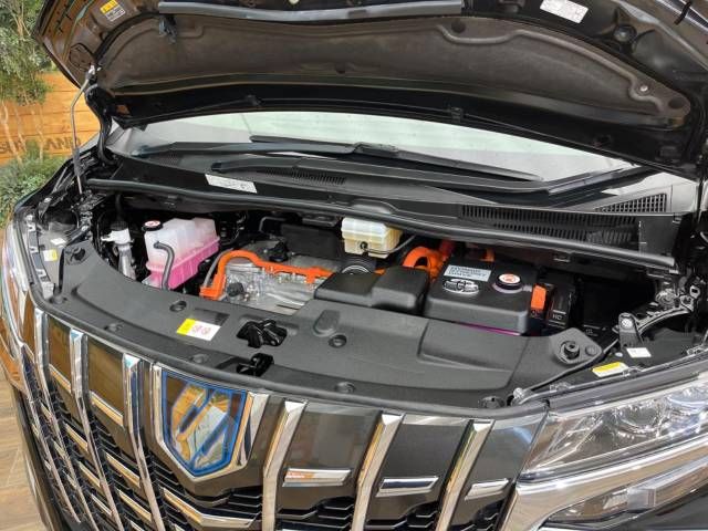 Toyota ALPHARD HYBRID 2023-01 184998-19