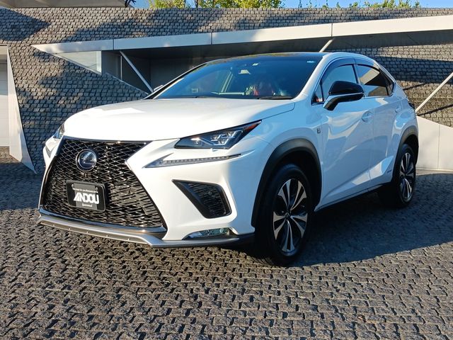 Lexus NX 2018-08 8765-0