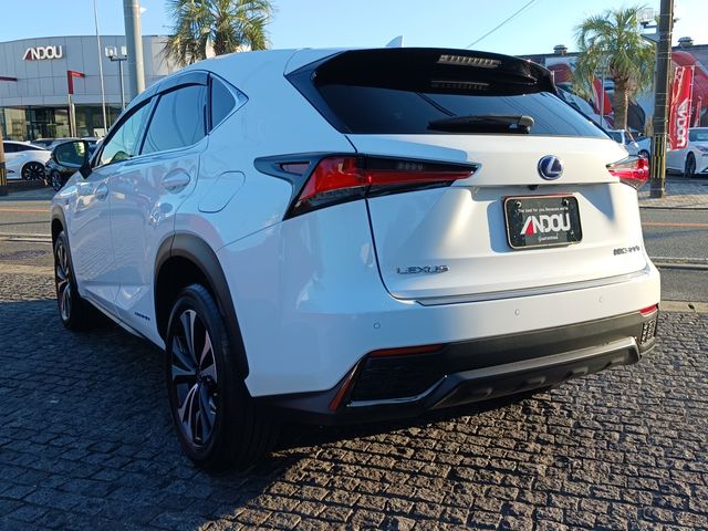 Lexus NX 2018-08 8765-2