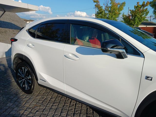 Lexus NX 2018-08 8765-4