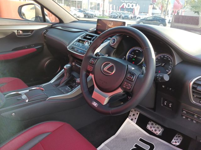 Lexus NX 2018-08 8765-10