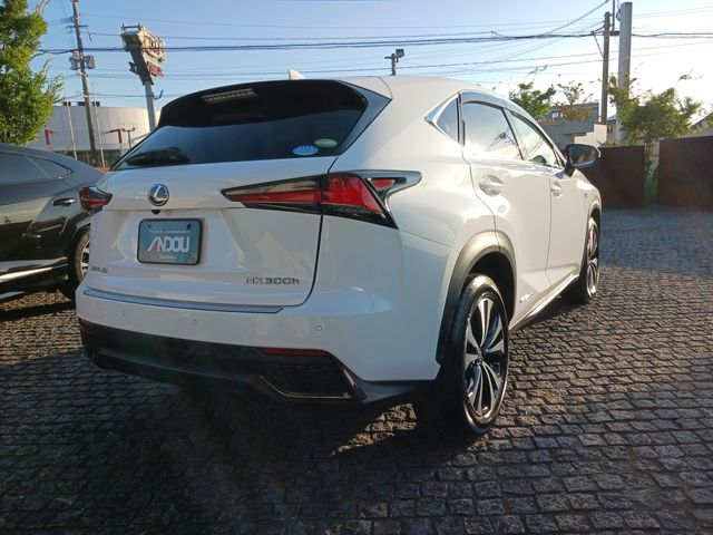 Lexus NX 2018-08 8765-6