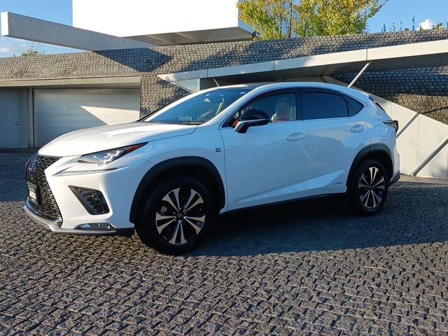 Lexus NX 2018-08 8765-1