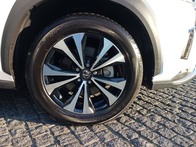 Lexus NX 2018-08 8765-7