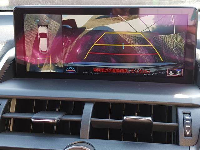 Lexus NX 2018-08 8765-17