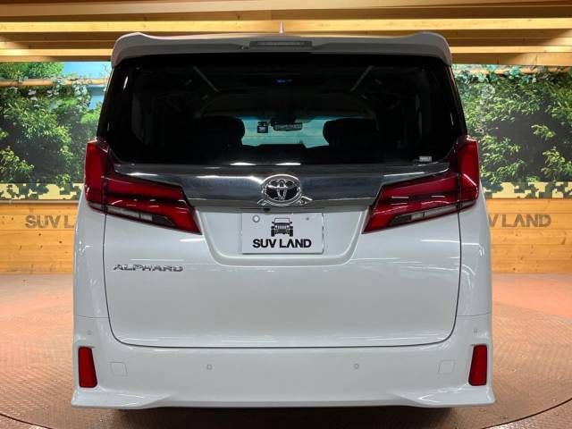 Toyota ALPHARD 2020-05 193651-17