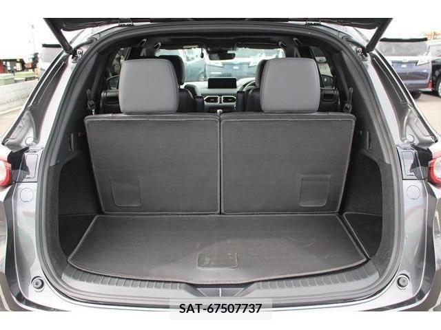 Mazda CX-8 2022-06 308615-17