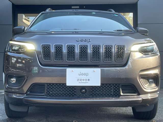 Jeep CHEROKEE 2021-03 16684-4