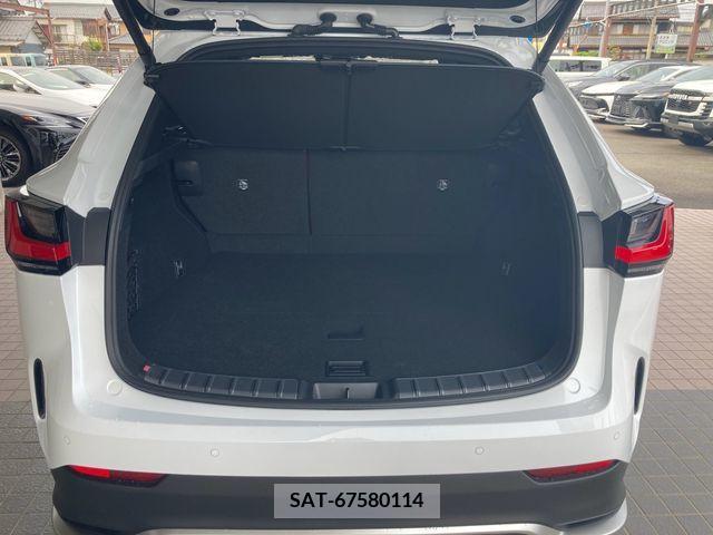 Lexus NX 2023-02 388161-25