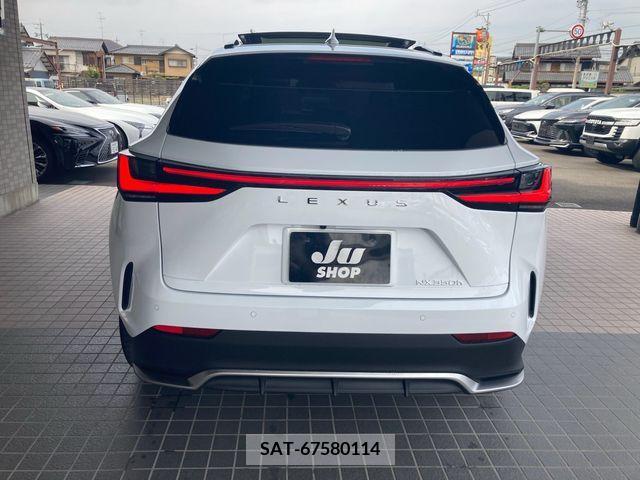 Lexus NX 2023-02 388161-5