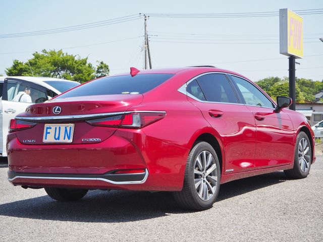 Lexus ES 2019-09 3791-4