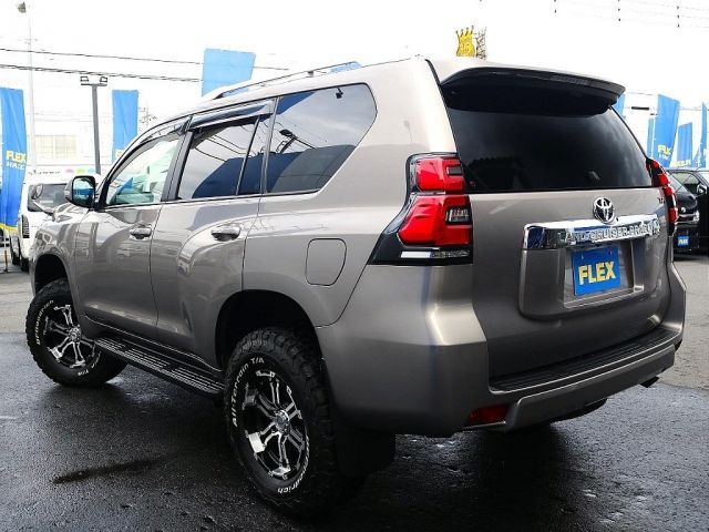 Toyota PRADO 2019-01 18609-17