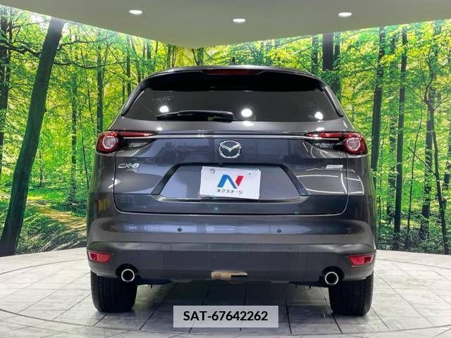 Mazda CX-8 2018-06 342255-16