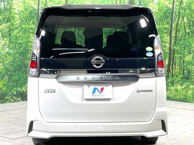 Nissan SERENA 2019-01 193375-16