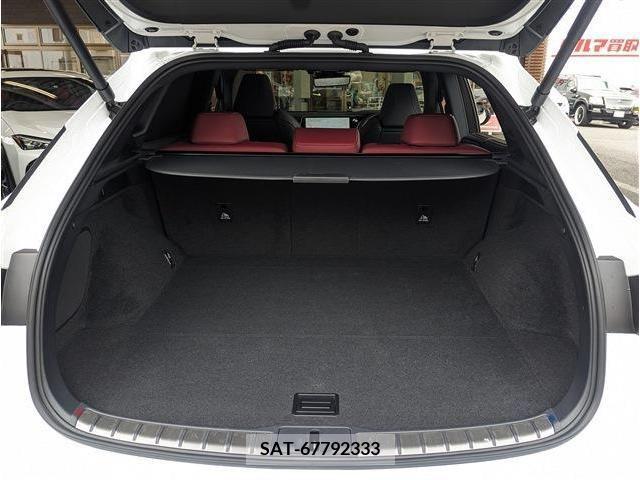 Lexus RX 2023-06 316212-10