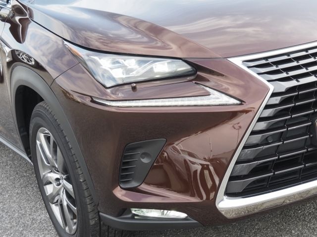 Lexus NX 2020-10 29186-7