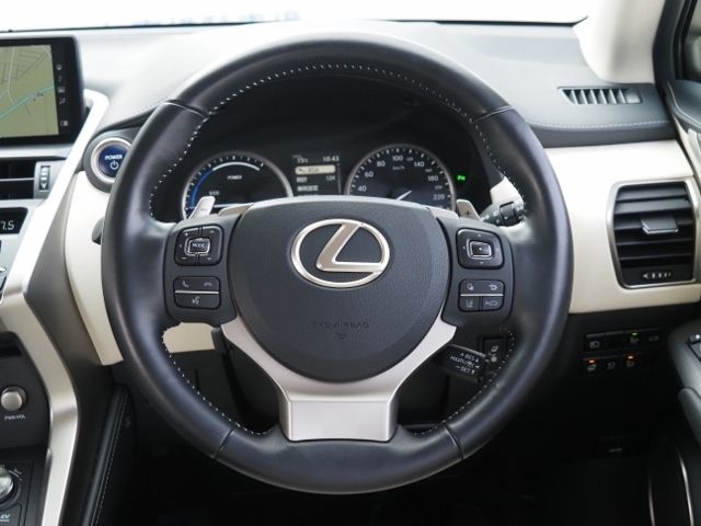 Lexus NX 2020-10 29186-19