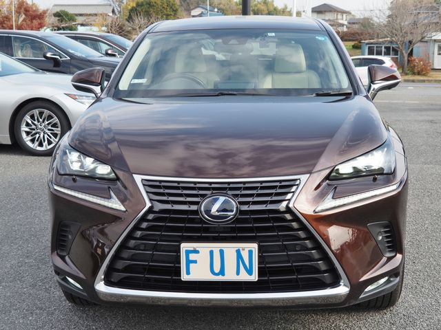 Lexus NX 2020-10 29186-1