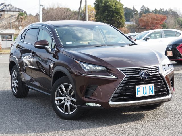 Lexus NX 2020-10 29186-2