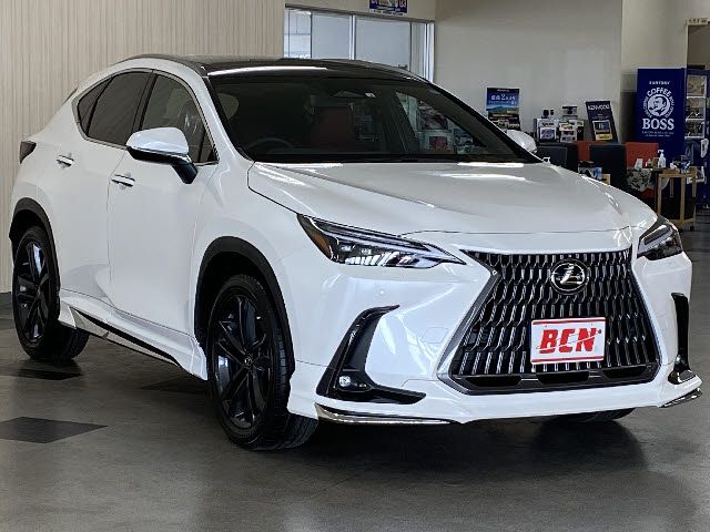 Lexus NX 2022-04 2501-6