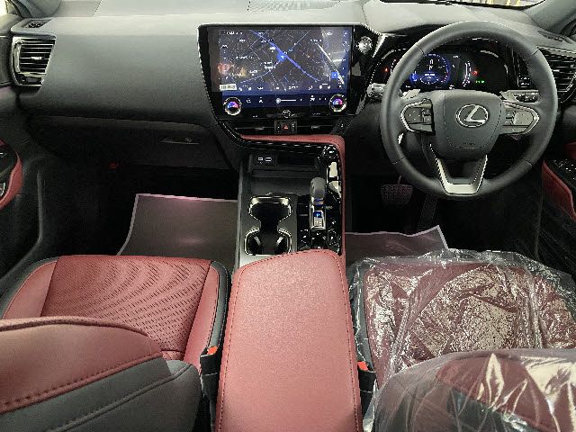 Lexus NX 2022-04 2501-1