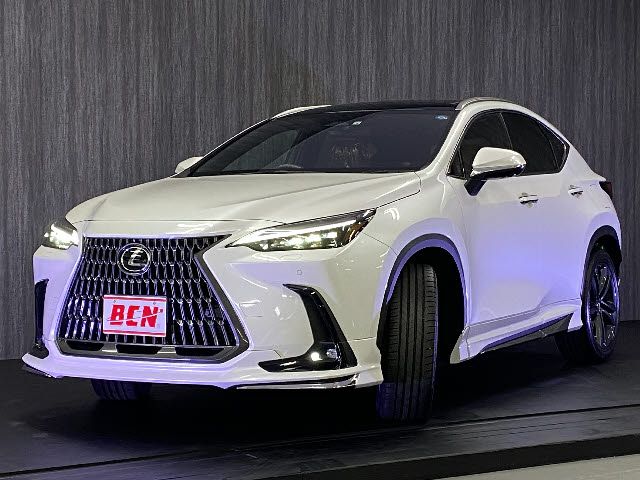 Lexus NX 2022-04 2501-0