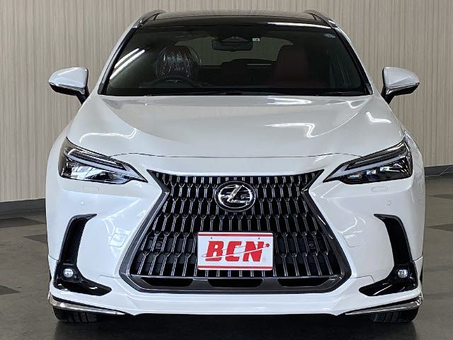 Lexus NX 2022-04 2501-5
