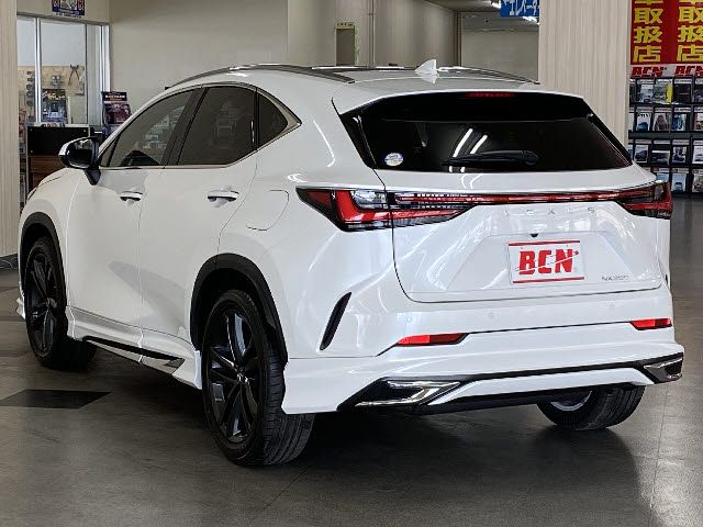 Lexus NX 2022-04 2501-10