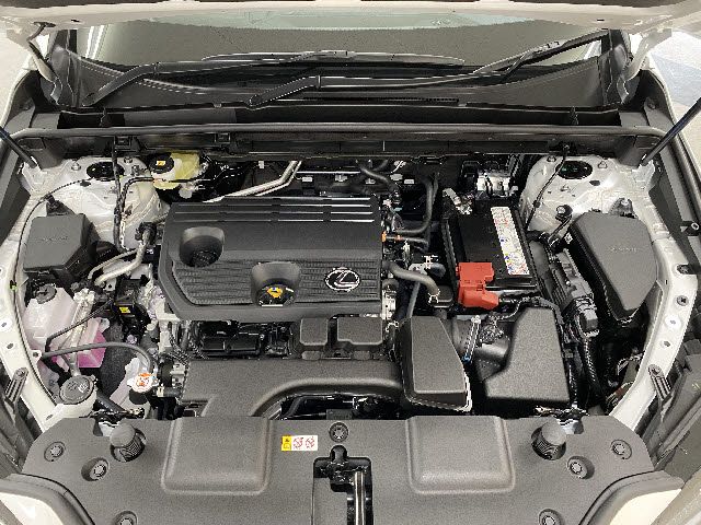 Lexus NX 2022-04 2501-27