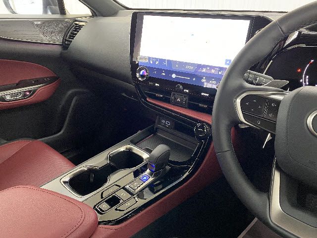 Lexus NX 2022-04 2501-16