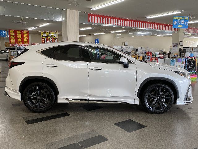 Lexus NX 2022-04 2501-7