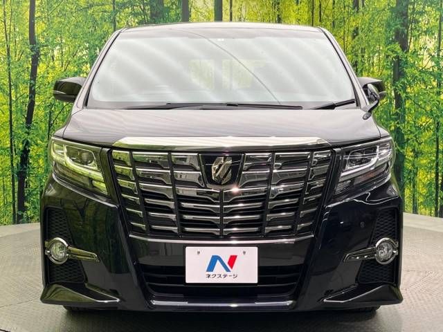 Toyota ALPHARD 2017-01 12788-14