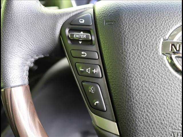 Nissan ELGRAND 2016-06 192891-9