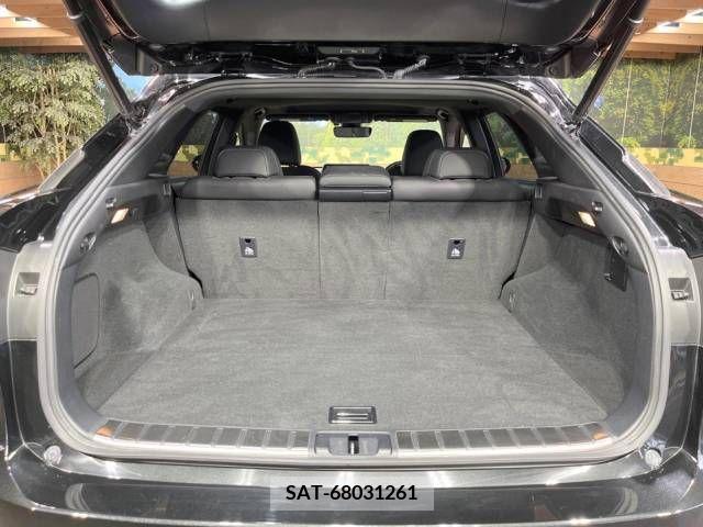 Lexus RX 2017-07 275764-14