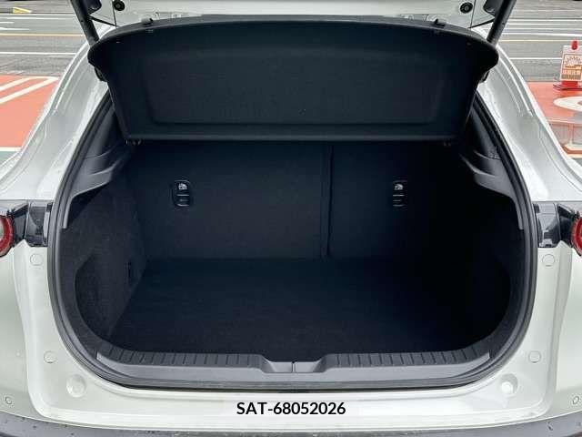 Mazda CX-30 2022-01 265531-11