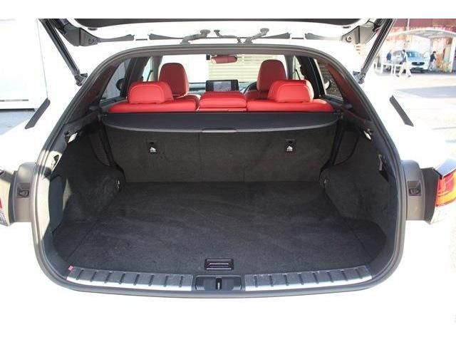 Lexus RX 2019-11 19118-17