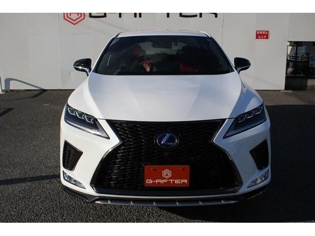 Lexus RX 2019-11 19118-7