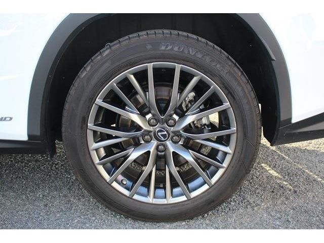 Lexus RX 2019-11 19118-13