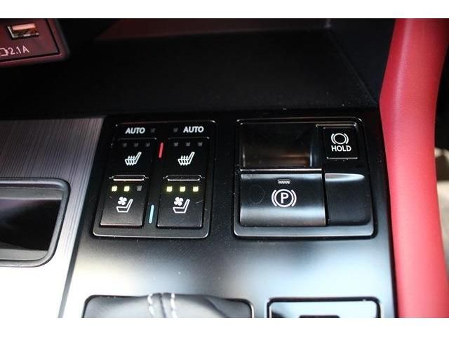 Lexus RX 2019-11 19118-6