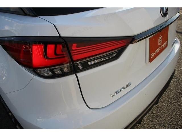 Lexus RX 2019-11 19118-12