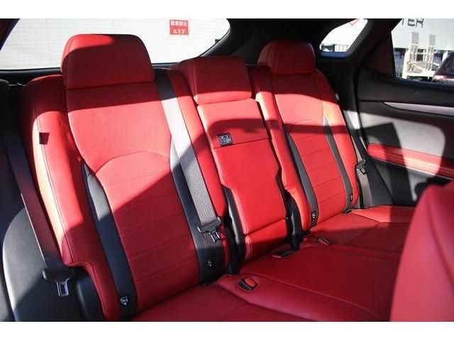 Lexus RX 2019-11 19118-15