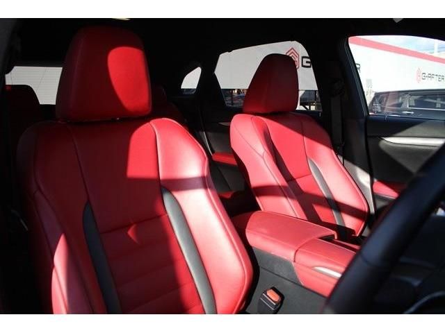 Lexus RX 2019-11 19118-14