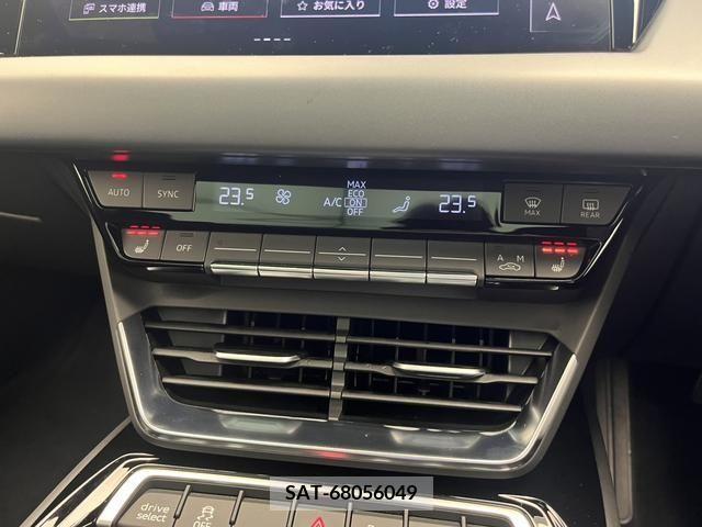 Audi E-TRON 2022-01 378396-13