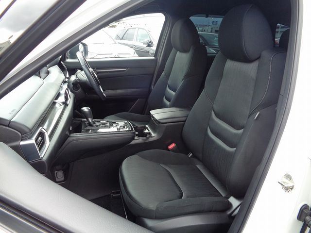Mazda CX-8 2020-07 10979-4