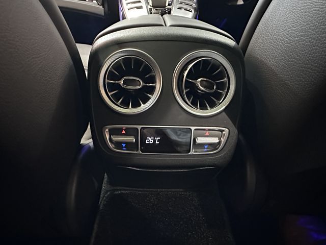 Amg GT 2020-03 17976-15
