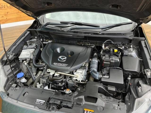 Mazda CX-3 2017-01 192282-18