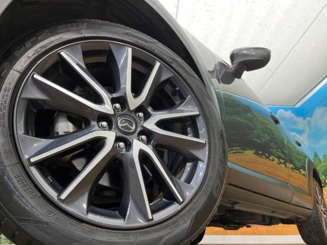Mazda CX-3 2017-01 192282-13