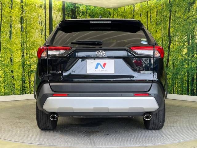 Toyota RAV4 2019-05 5917-15